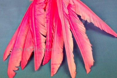 Декоративный Пучок из перьев, перо 25см/розовый - купить в Ставрополе. Цена: 14.40 руб.