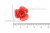 Украшение "Розы малые №1" 20мм - купить в Ставрополе. Цена: 32.82 руб.
