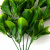 Трава искусственная -1, шт (эвкалипт лист 32 см/8 см)				 - купить в Ставрополе. Цена: 169.93 руб.