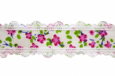 Тесьма декоративная 0385-6170, шир. 25 мм/уп. 22,8+/-1 м, цвет 02-розовый - купить в Ставрополе. Цена: 368.42 руб.