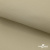 Ткань подкладочная TWILL 230T 14-1108, беж светлый 100% полиэстер,66 г/м2, шир.150 cм - купить в Ставрополе. Цена 90.59 руб.