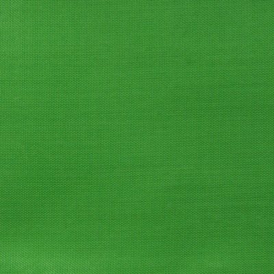 Ткань подкладочная Таффета 17-6153, 48 гр/м2, шир.150см, цвет трава - купить в Ставрополе. Цена 54.64 руб.