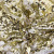 Трикотажное полотно, Сетка с пайетками, шир.130 см, #315, цв.-белый/золото - купить в Ставрополе. Цена 693.39 руб.