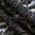 Кружевное полотно XD LACE 1-4, 80 гр/м2, шир.150см, цвет чёрный - купить в Ставрополе. Цена 245.94 руб.
